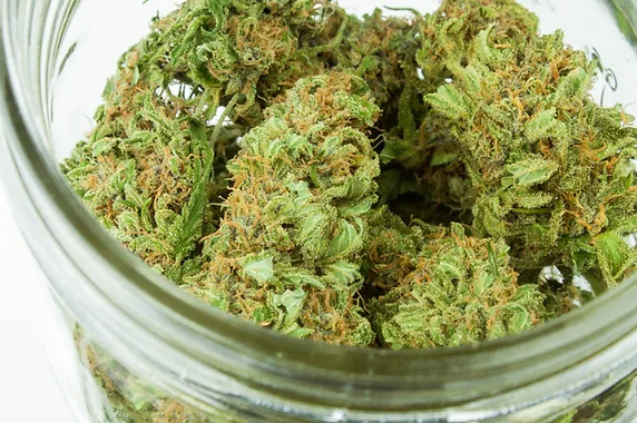 jar of marijuana buds